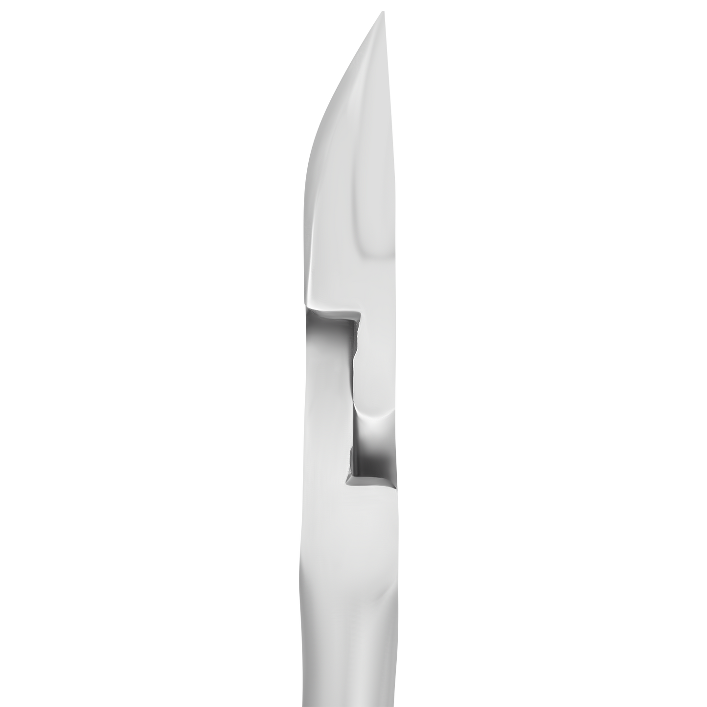 STALEKS PRO Professional Nail Nippers EXPERT 60 16 mm