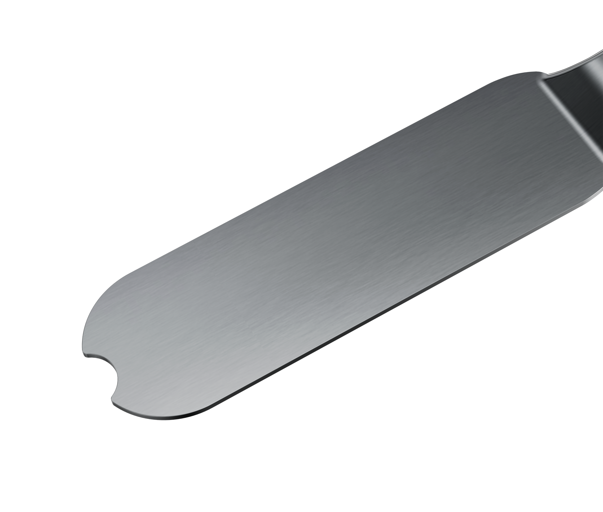 A close-up of the STALEKS PRO Metal Base for Pedicure Grater EXPERT 10 by Staleks, a flat stainless steel tool with a straight edge, rounded end, and small notch near the tip, shown against a black background.