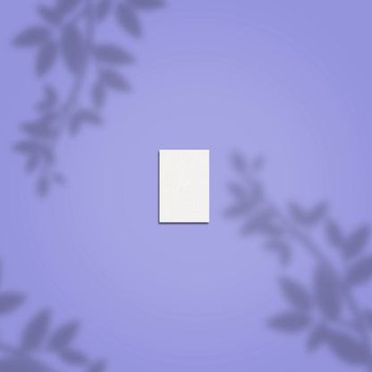 A white rectangular card, like the STALEKS PRO Grinding Buff Rectangular mini EXPERT 51 100/180 grit (50 pcs) by Staleks, is centered on a purple background with soft leafy shadows, evoking the calm minimalism of a nail buffer.